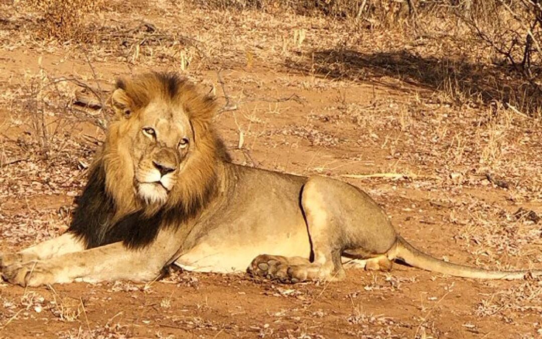 Maruleng NU, Limpopo, South Africa