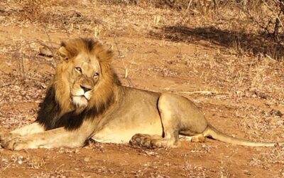 Maruleng NU, Limpopo, South Africa