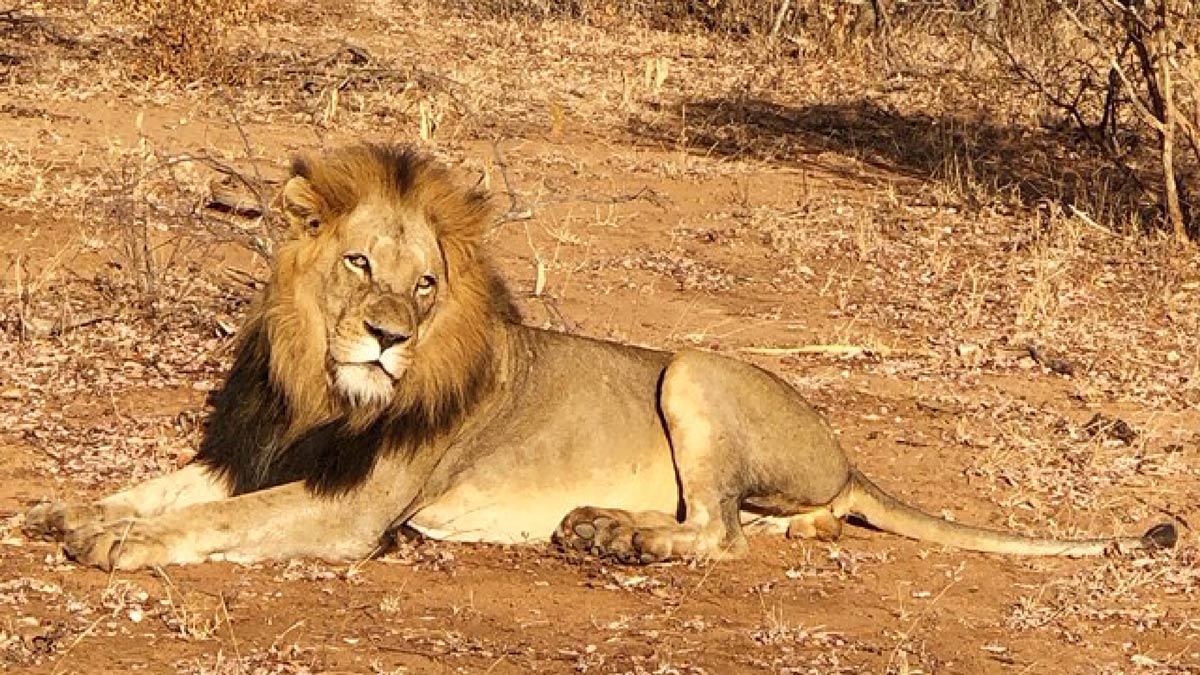 Featured_Maruleng-NU-Limpopo-South-Africa-1200px