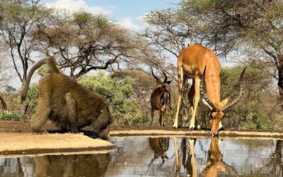 Great Rift Valley – camp #2