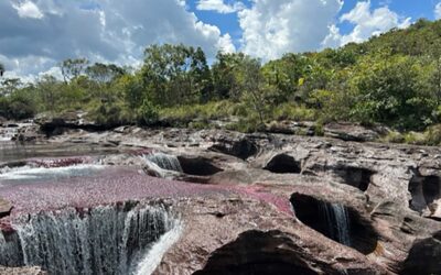 August 16, 2022 – Cano Cristales, Colombia