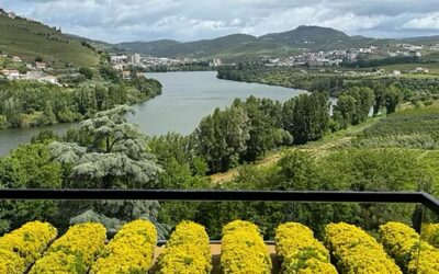 The Douro Valley of Portugal