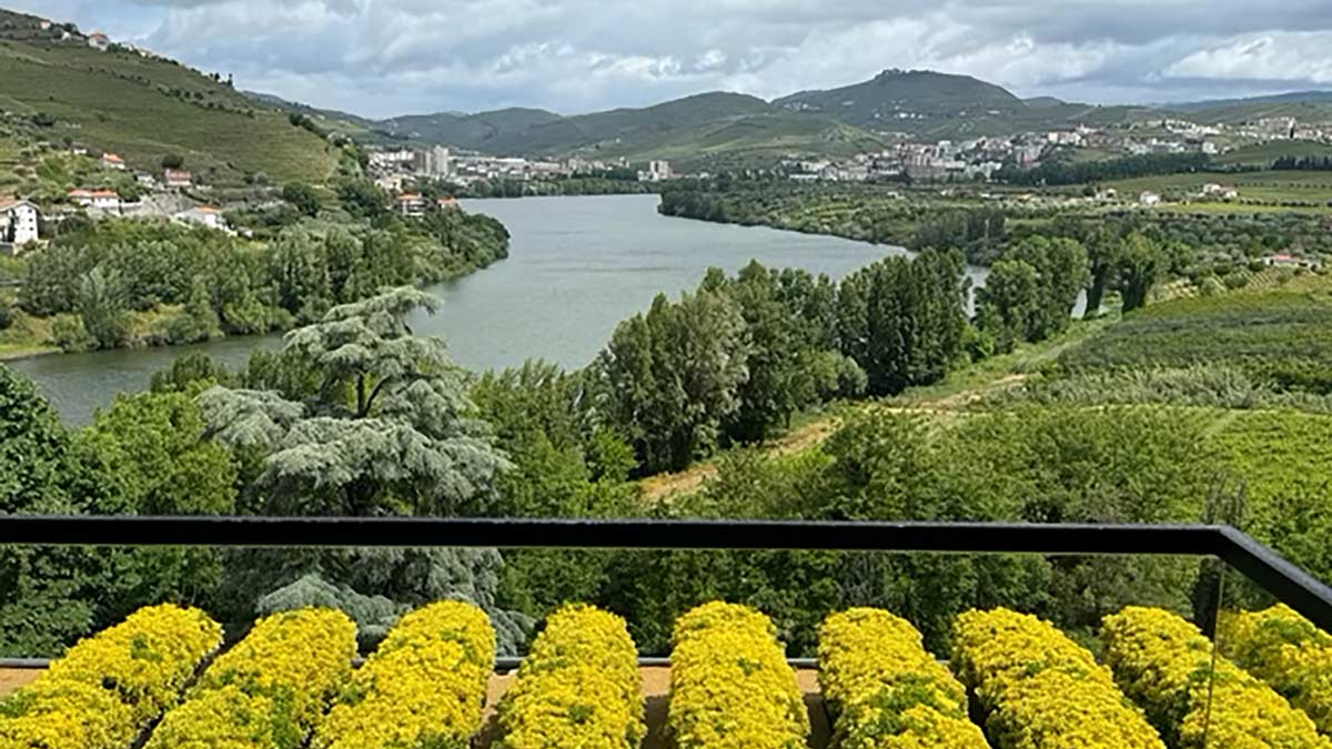 Douro-Valley-of-Portugal-1200px