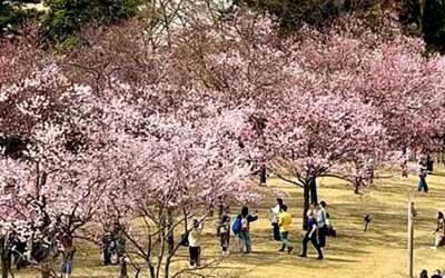 Kanazawa, Japan