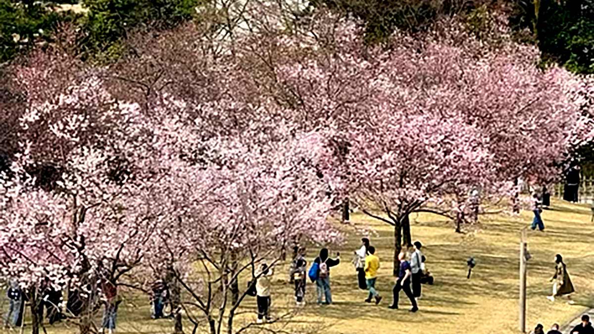 Kanazawa-Japan-2026-1200px-01