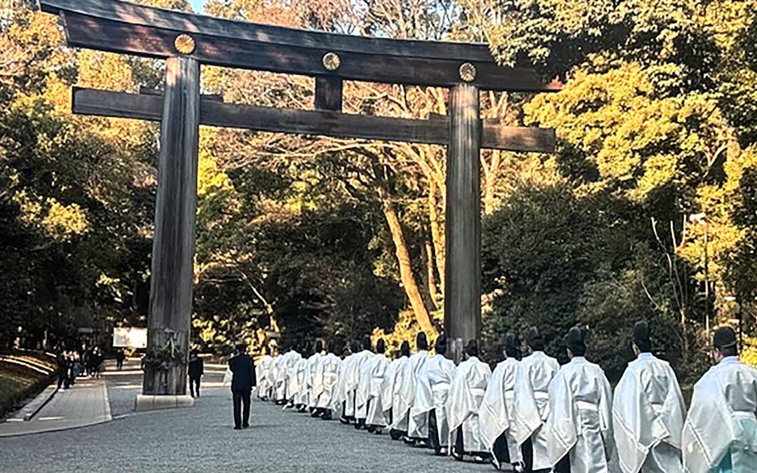 Tokyo Day 1: Pines, Petals, and Pure Exhaustion