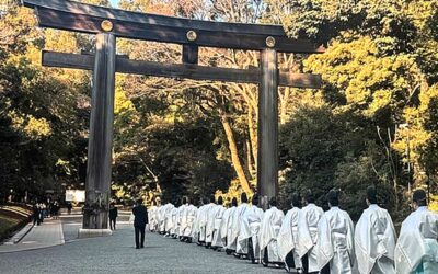Tokyo Day 1: Pines, Petals, and Pure Exhaustion