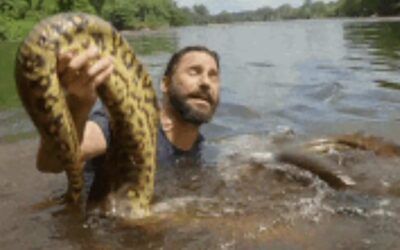 The Amazon – Ecuadorian Side