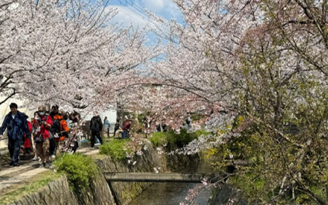 Kyota, Japan