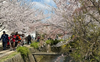 Kyota, Japan