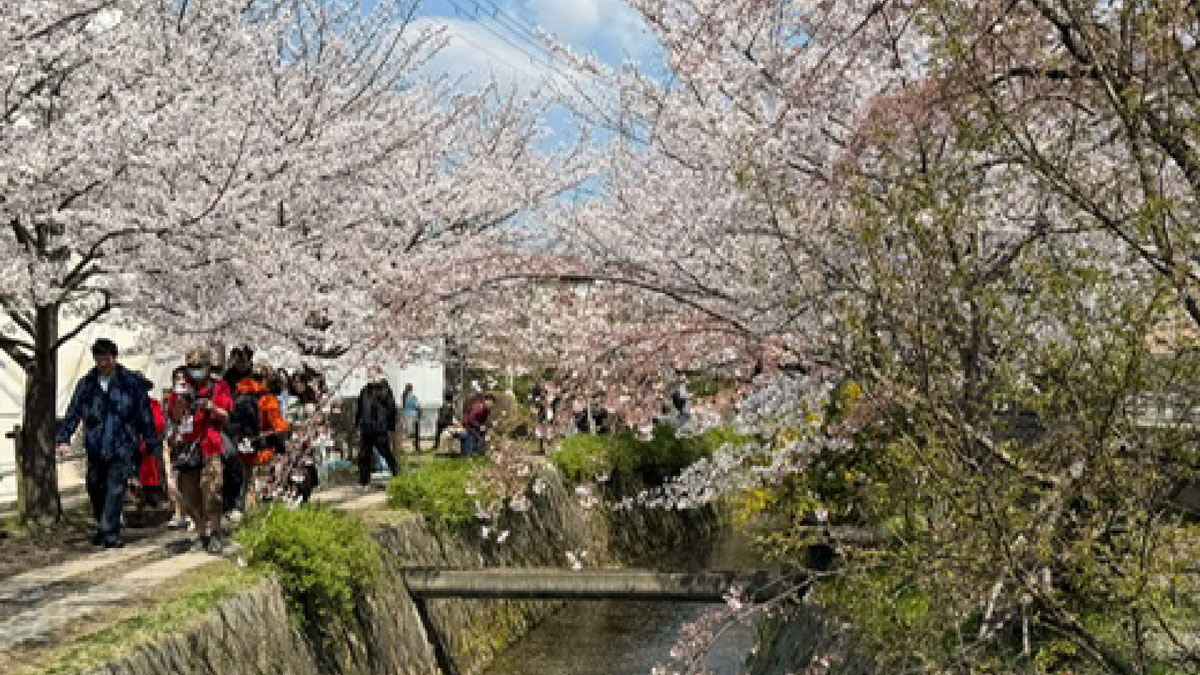 Kyota,-Japan-FEATURED-1200px